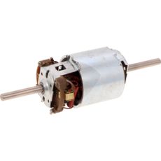 Fan motor Older version