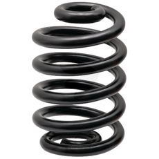 Front spring