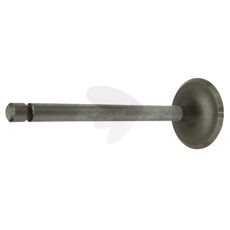 Intake Valve