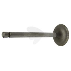 Exhaust Valve
