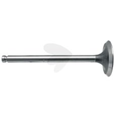 Intake Valve