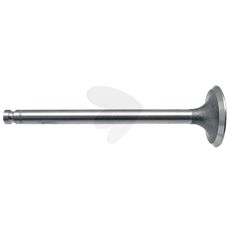 Exhaust Valve
