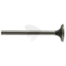 Exhaust Valve