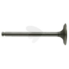 Intake valve