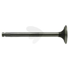Exhaust valve