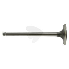 Intake valve