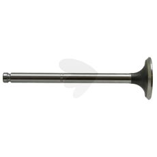 Exhaust valve