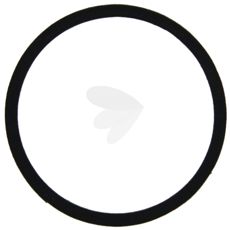 Seal Hub cap - 646059M1