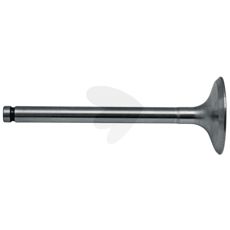 Intake Valve