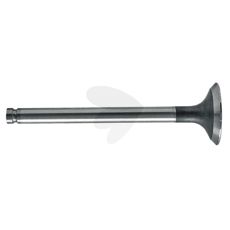 Exhaust Valve