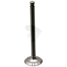 Intake valve - 891049M1