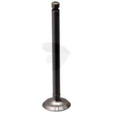 Exhaust valve - 891200M1
