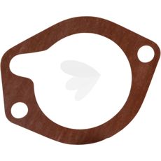 Gasket - 3641893M1