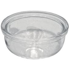 Filter glass fuel filter