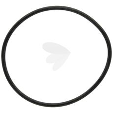 O - Ring PTO - 883621M1