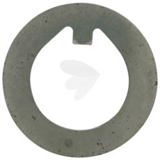 Disc