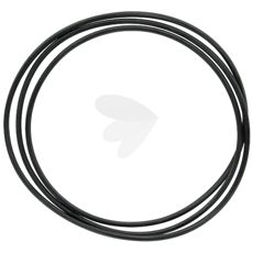 Differential housing seal - 1860838M1