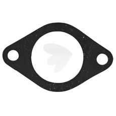Gasket Thermostat - T20215