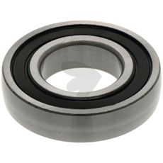 Bearing - F04010184R