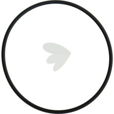 O-Ring - 404583