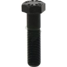 Screw - 00103367