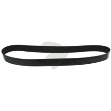 Poly-V belt - 494836