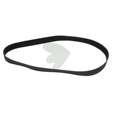 Belt - F06010160