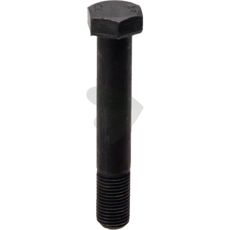 Screw 1/2