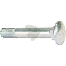 Screw - Mzss016001