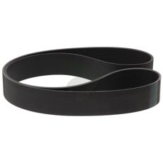 Drive belt Fan drive