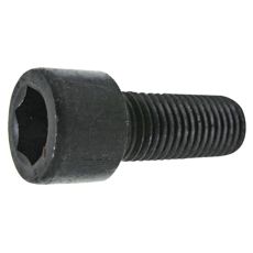 Screw with Internal Hex M16x2x55 mm 12.9