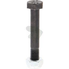 Screw with nut M10x65