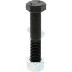 Screw with locknut