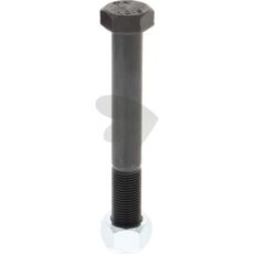 Screw With Nut