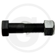 Screw with Nut
