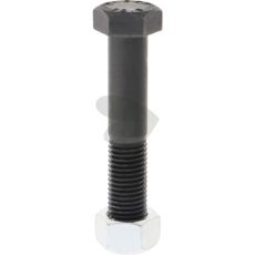 Screw with nut M20x2,5x110 mm 10.9
