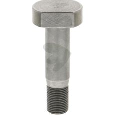 Special screw