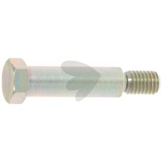 Special Screw - 30071055