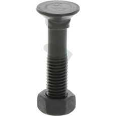 Plow screw with nut 25-pack - 310068