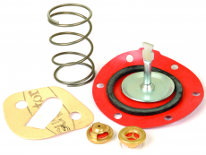 Repair kit for feed pump