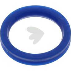 Radial oil seal ring - DC52727