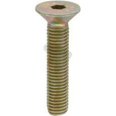 Screw - XQ2121360