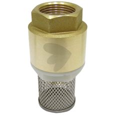 Check Valve 3/4" IG