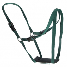Safe breeding harness that facilitates the breeding process.