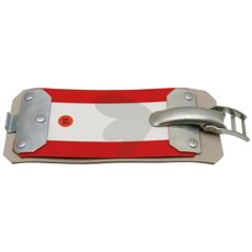 Hose Clamp