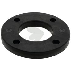 Steel Flange