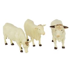 Charolais cows 1:32