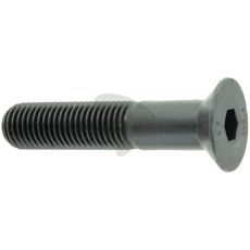Screw M20 X 100, 10.9