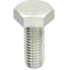 Screw M10x25