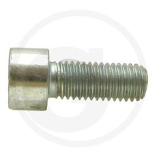 Cylinder screw with internal hexagon